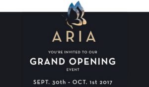 Seeno Homes Aria Grand Opening