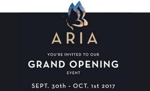 Seeno Homes Aria Grand Opening