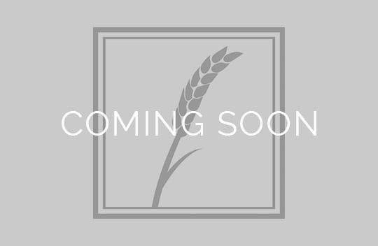  - 147 elevation image